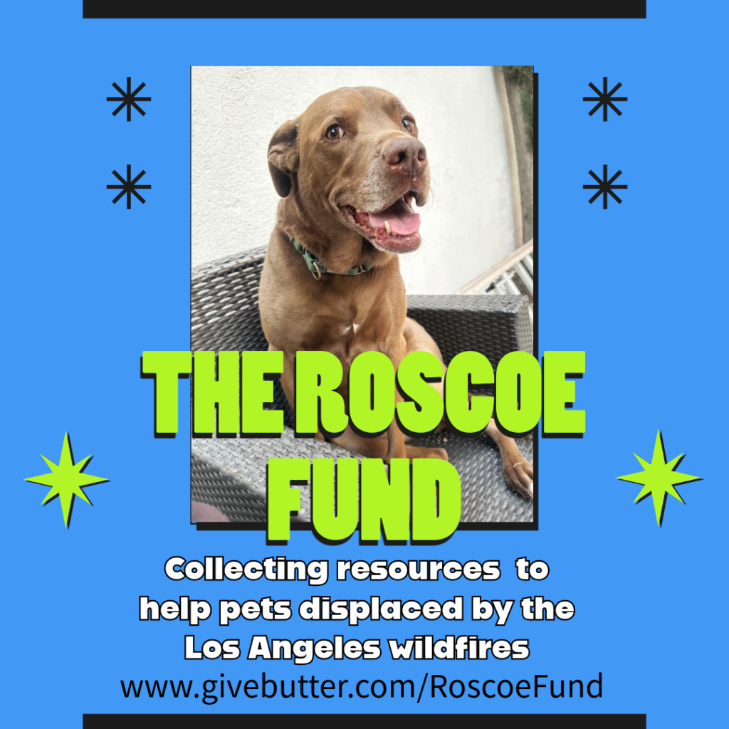 The Roscoe Fund flyer